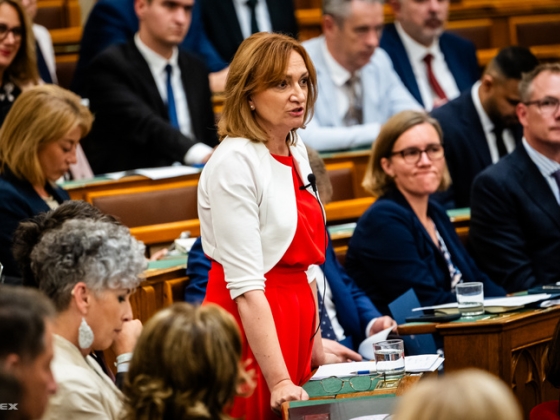 „Rétvári úr elképesztő. Benyomnak egy gombot, és ön, mint a papagáj, nyomja a hazugságokat”