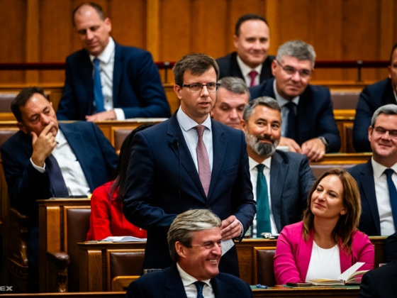 Bóka János: A Fidesz nem vesz részt az alkotmánybíró-választásban