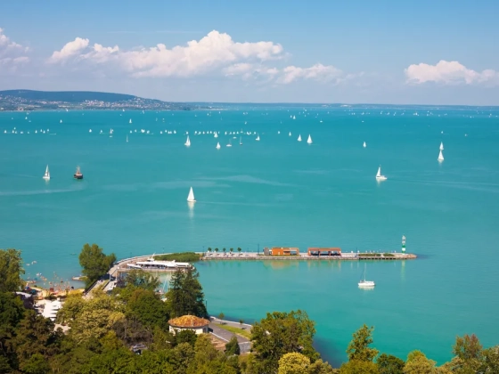 Te tudod, milyen halak élnek a Balatonban? Kvíz