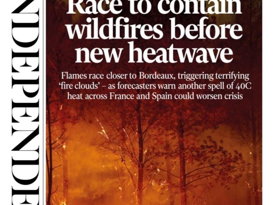 The Papers: 