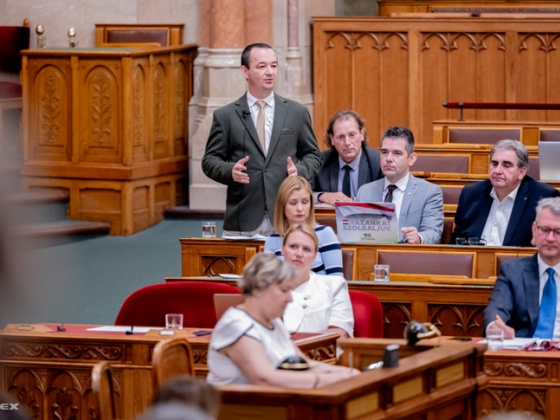 Apáti István: Nagyrészt egyet lehet érteni a diagnózissal