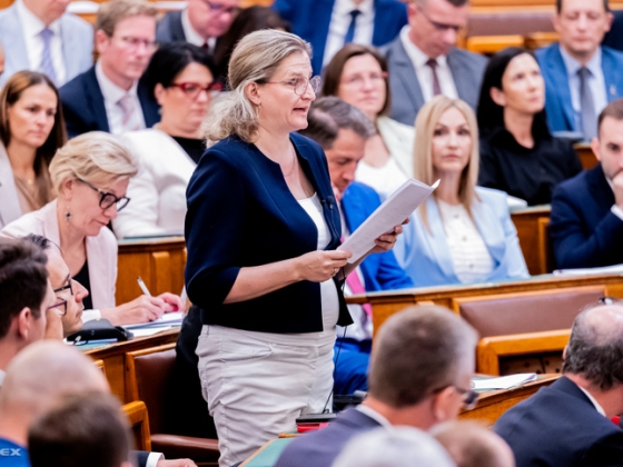 Porpáczy Krisztina: Mi nem a következő haváriát akarjuk megvárni, hanem megelőznénk azt
