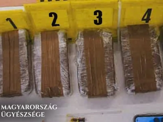 Testére erősített herointéglákkal bukott le egy macedón férfi a magyar határon