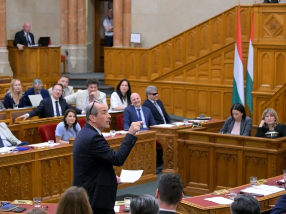 Hegedűs Zsolt a gyógyszerek áfacsökkentéséről: Aki a kicsit nem becsüli, a nagyot nem érdemli