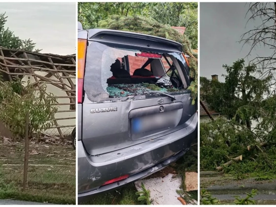 Lecsapott a vihar a magyar településre, forgószél döntött ki fákat Fülesden - videó