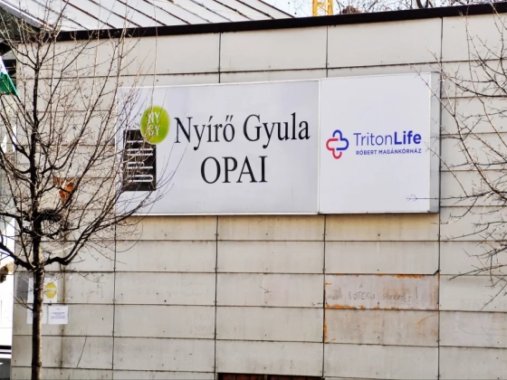 Hatan pályázták meg a Nyírő OPAI főigazgatói posztját