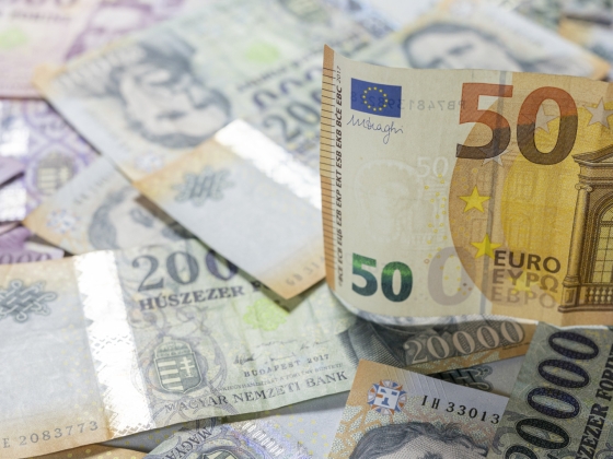 A kutyának se kell a forint