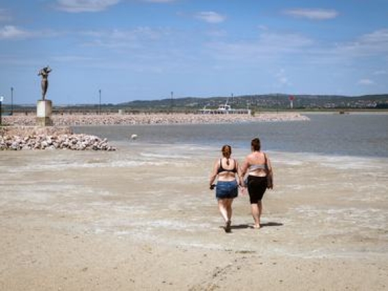 Teljesen ismeretlen csoportok jelentek meg a Velencei-tó ingatlanpiacán