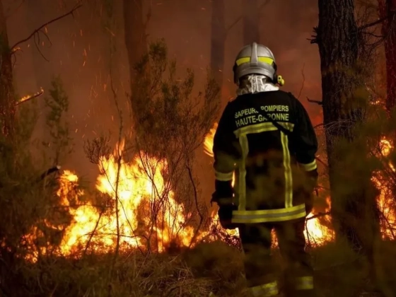Pusztító erdőtűz tombol, közben gyújtogatókra csaptak le Franciaországban