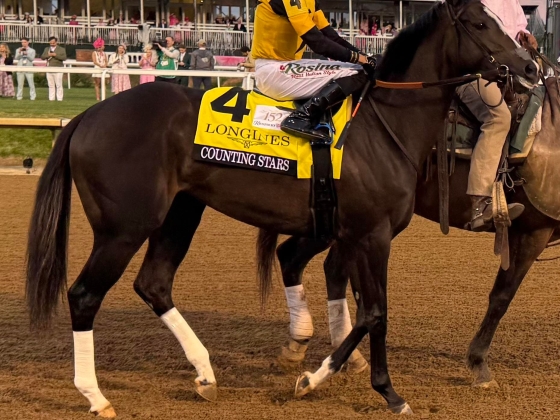 A Counting Stars Shines In Run Towards Breeders Cup és év végi kitüntetések