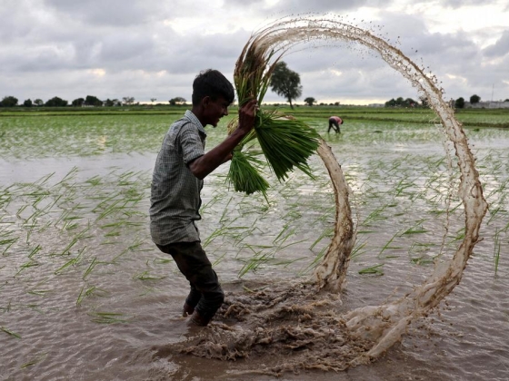 Két háború és az El Nino hogyan táplálhatja a világ éhezését