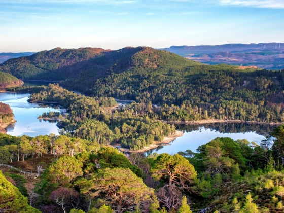A Highland Glenben 400 év után először találkoznak vadon született hódok