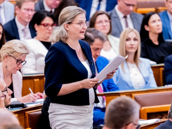 Orvosokat meneszt a Tisza-kormány, szerintük morális és szakmai szempontból tarthatatlan a helyzet