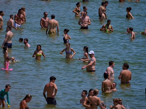 A hő növeli a Vibriót és más baktériumokat: Hogyan kerüljük el a fertőzéseket a strandon, a medencében vagy a tengeren