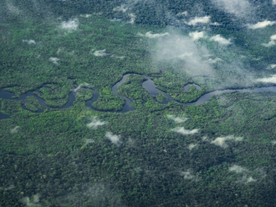 Óriási felfedezés az Amazonas mélyén, több millió fős ősi civilizáció nyomaira bukkantak