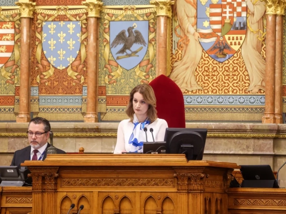 Forsthoffer szerint a kommunikáció csúszott félre Polgár Judit-ügyben, Divinyi Zsombor esete pedig már tárgytalan