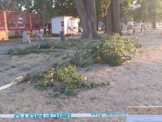 Korhadt faág temetett maga alá egy nőt a balatonlellei strandon