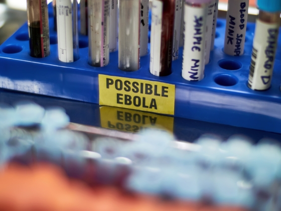 A történelem második legnagyobb ebolajárványával néz szembe az emberiség