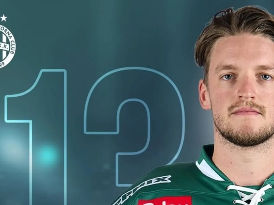 Jégkorong: teljessé vált az FTC kerete