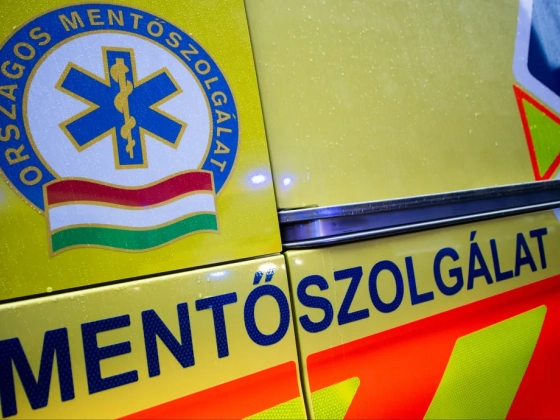 Négyéves gyerek riasztotta a mentőket, miután anyja hirtelen összeesett a kertben