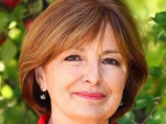 Drámai látvány a Dunán: Endrei Judit megmutatta, hogyan fogy el a víz a szemünk láttára