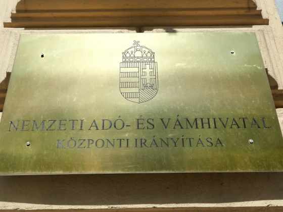 Majdnem ötvenen jelentkeztek a NAV vezetőjének