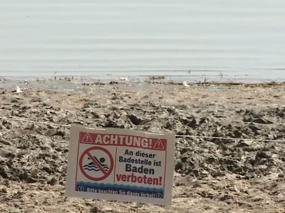 Emberi ürülék került a Balatonba a keszthelyi szabadstrandnál, feljelentést tett az önkormányzat