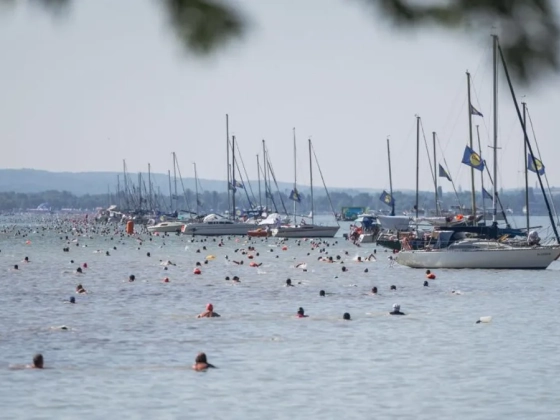 „Ez egy igazi népünnepély” –  a rekordokat hozó 44. Lidl Balaton-átúszás értékelése