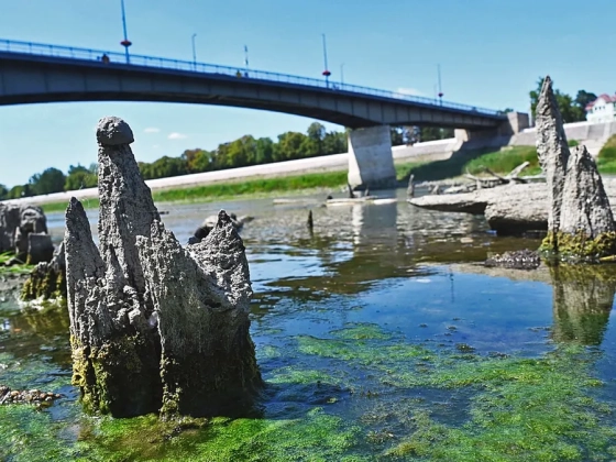 Egyre alacsonyabb a Tisza vízállása, török kori hídcölöpök bukkantak elő a víz alól – fotók