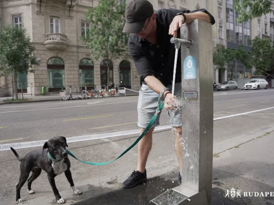 Magyarország 40°C-os hőséghullámra készül a rekordmeleg éjszaka után