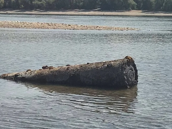 Fotó is jött, bombára emlékeztető tárgy került elő a Dunából