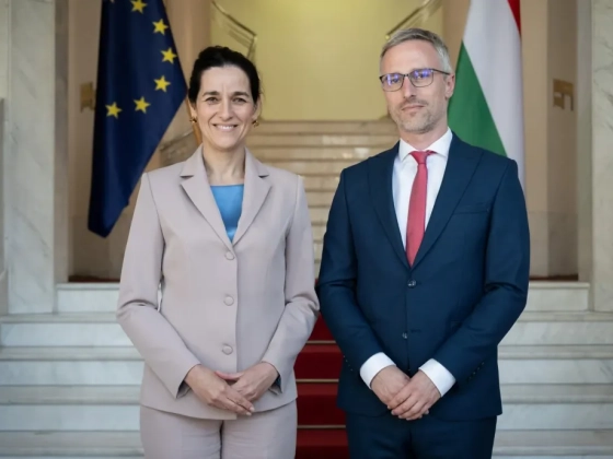 Feledy Botond lett a Magyar Külügyi Intézet új vezetője