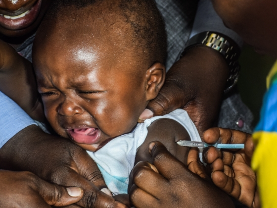 A klímaváltozás kisöpri a maláriát Nyugat- és Közép-Afrikából