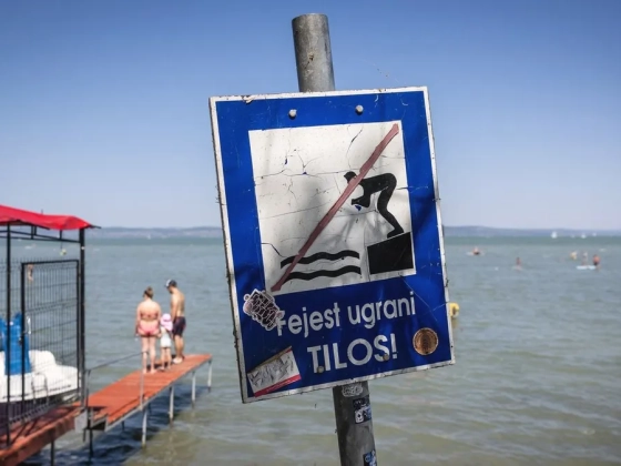 Pickup-pal hajtottak a Balatonba, ott strandoltak és söröztek – fotó készült a furcsa akcióról