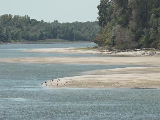 Most van baj, Magyarország nem bírja tovább táplálni: kiszáradhat a Duna-Tisza- csatornarendszer a szomszédban – „Több mint 100 éve nem volt ilyen súlyos a helyzet!