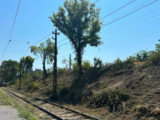 Tarvágást indított a MÁV a Mexikó úti kilométeres zöld sávban, poros töltésoldal maradt utána