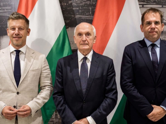 Magyar Péter sejtelmes bejegyzést tett közzé, ő lehet a kormány jelöltje köztársasági elnöknek