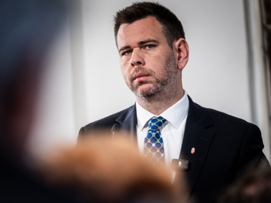 Vitézy Dávid leállította Zuglóban a fakivágást, teljes felülvizsgálatot rendelt el