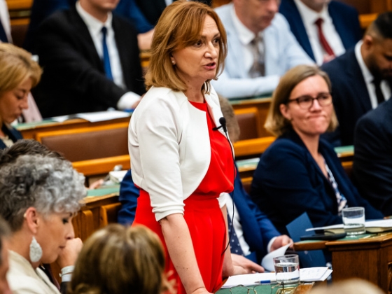 Itt vannak a részletek, szombaton dönt a Tisza-frakció az államfőjelöltről