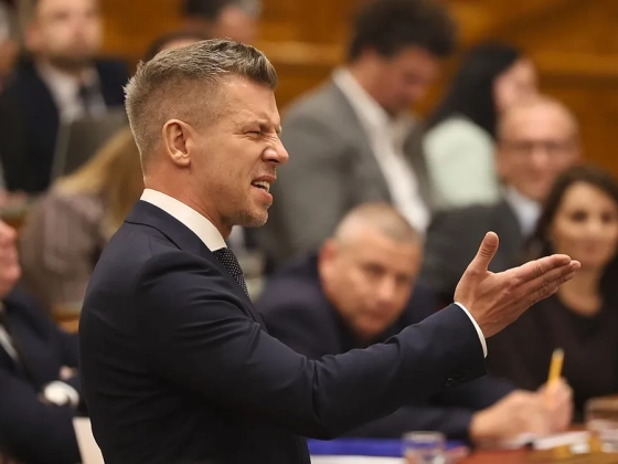 Magyar Péter: Orbánék tudták, mégsem tettek semmit