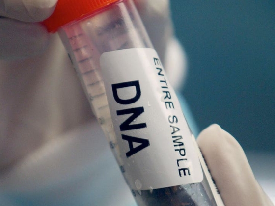 A tudósok mesterséges intelligencia-modellt képeztek ki a DNS-ben – és 16 új vírust találtak ki