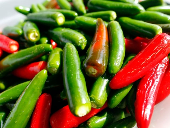 Jalapeñok százai betegedtek meg Chipotle-ban és QDobában