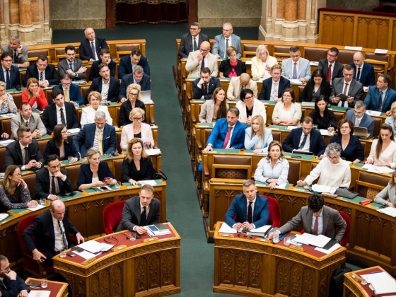 Az eskütétel után beszédet is mond az Országgyűlés előtt az új köztársasági elnök