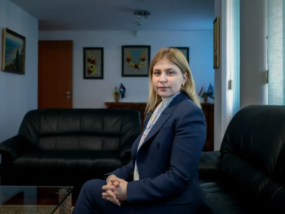 Magasra ívelt a politikai karrierje, most korrupciógyanúba keveredett Ukrajna volt kormányfőhelyettese