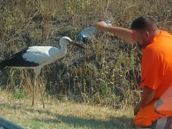 Megszólalt a gólyamentő: Árpád fontos üzenetet fogalmazott meg