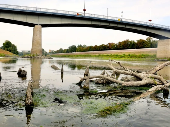 Extrém látvány: a Tisza vízállása miatt 460 éves cölöpök kerültek elő – galéria