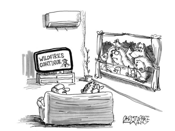 Christopher Harry a pusztító erdőtüzek nyarán – cartoon