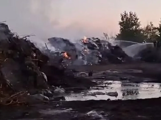 Több mint egy hét után sikerült teljesen eloltani a tüzeket Érd és Százhalombatta között – videó