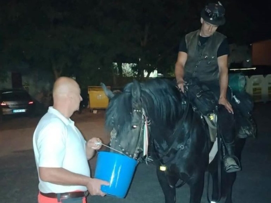Váratlan látogató érkezett éjszaka a zsámbéki mentőkhöz