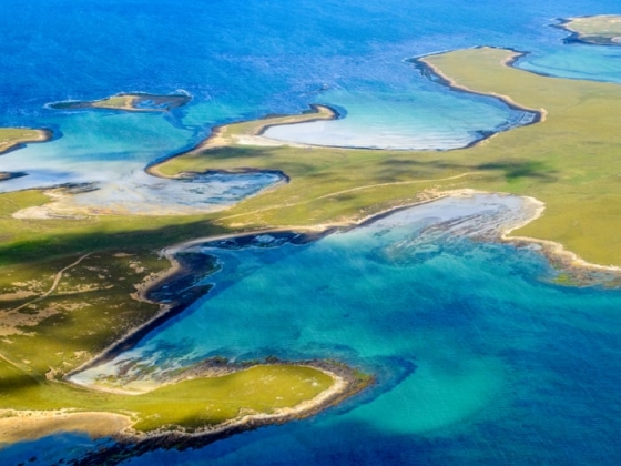 A falklandiak népszavazást kérnek a hatalmas lazacfarm terveiről